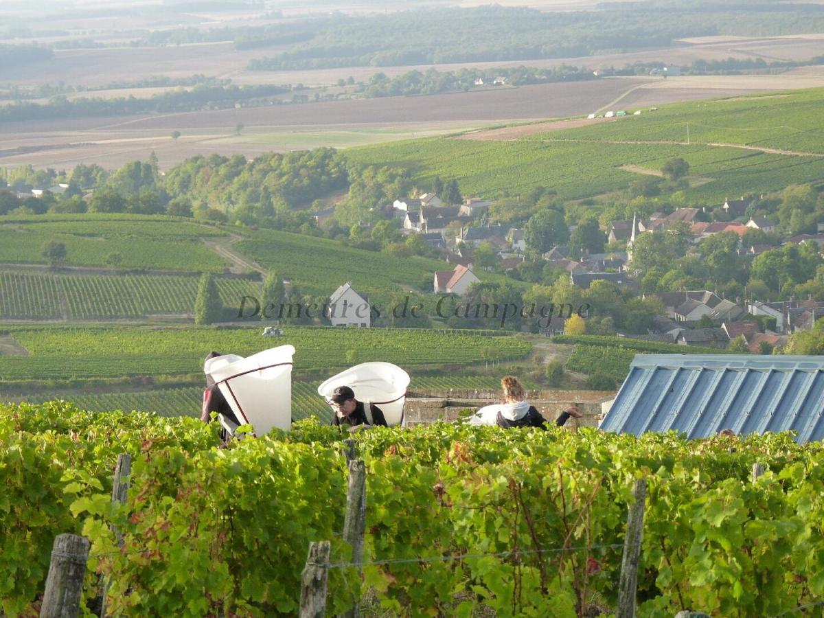 Maison Les Fossiles Sancerre Exteriér fotografie